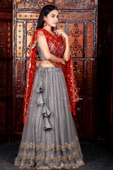 Grey & Red net lehenga