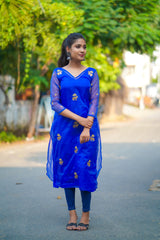 Blue Embroidery Organza Salwar