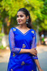 Blue Embroidery Organza Salwar