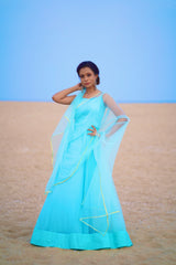 Blue net anarkali