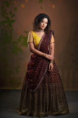 Brown & Yellow Embroidery lehenga