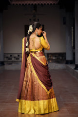 Brown & Yellow Silk Embroidery lehenga