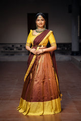 Brown & Yellow Silk Embroidery lehenga