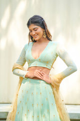 Green Georgette lehenga