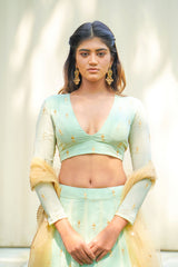 Green Georgette lehenga