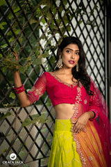 Green and Pink Embroidery lehenga