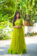 Green net anarkali
