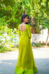 Green net anarkali