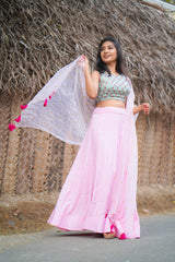 Grey & Pink embroidery santoon lehenga