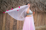 Grey & Pink embroidery santoon lehenga