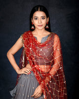 Grey & Red net lehenga