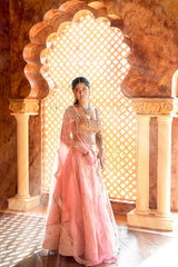 Light Brown & Pink Embroidery lehenga