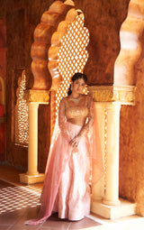 Light Brown & Pink Embroidery lehenga