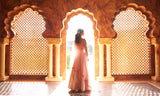 Light Brown & Pink Embroidery lehenga