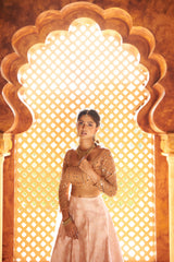 Light Brown & Pink Embroidery lehenga