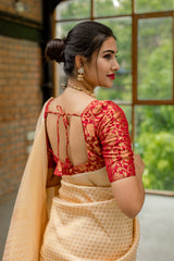 Maroon Banaras Blouse