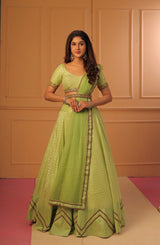 Pastel Green Embroidery Banaras lehenga