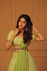 Pastel Green Embroidery Banaras lehenga