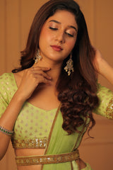 Pastel Green Embroidery Banaras lehenga