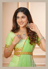 Pastel Green Embroidery Banaras lehenga