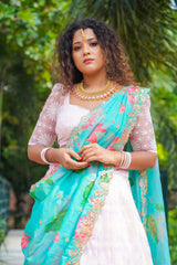 Pink Blue Self Embroidery lehenga