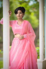 Pink sequins lehenga