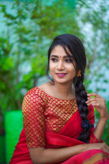 Maroon Banaras Blouse