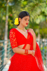 Red Net lehenga