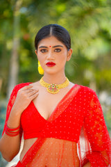 Red Net lehenga