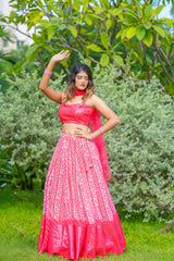 Pink Sequins Georgette lehenga