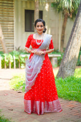 Red Silver Organza lehenga