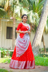 Red Silver Organza lehenga