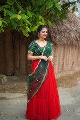 Green Marron pearl net embroidery lehenga