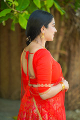 Red embroidery banaras lehenga