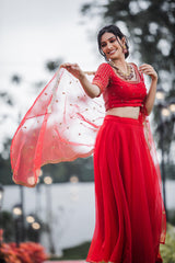 Red Hand embroidered organza lehenga - YoshnasByEla