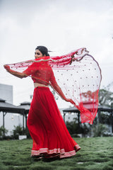 Red Hand embroidered organza lehenga - YoshnasByEla
