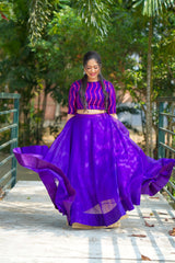 Violet Embroidery Skirt & Blouse