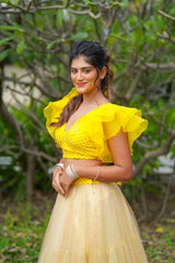 Yellow Gold Pearl Net Skirt & Blouse