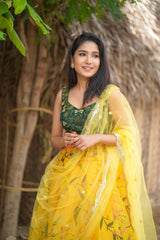 Yellow Green embroidery organza lehenga