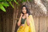 Yellow Green embroidery organza lehenga