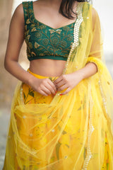 Yellow Green embroidery organza lehenga