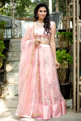 Peach Hand embroidered net lehenga