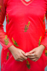 Red Embroidery Organza Salwar